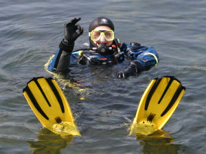 Happy scuba diving Happy scuba diving
