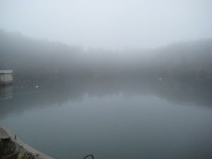 The visibility was better underwater...
