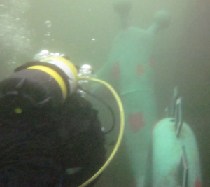 Diver and creature swimming along together