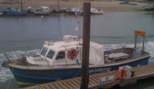 The good ship �Michelle Mary�