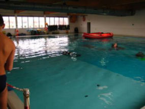 Surface of the pool