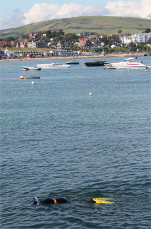 Snokelling in Swanage